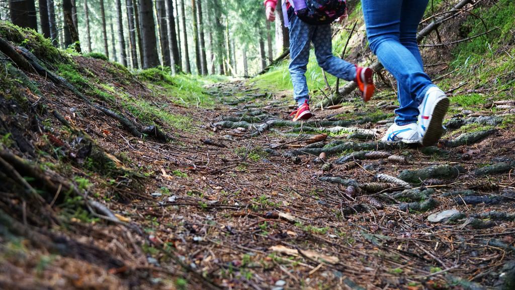 Hotel Beck Lauscha Eksteriør bilde